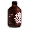 BIO VIGO Kombucha Róża | 330 ml | Vigo