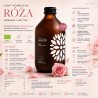 BIO VIGO Kombucha Róża | 330 ml | Vigo