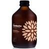 BIO VIGO Kombucha Róża | 330 ml | Vigo