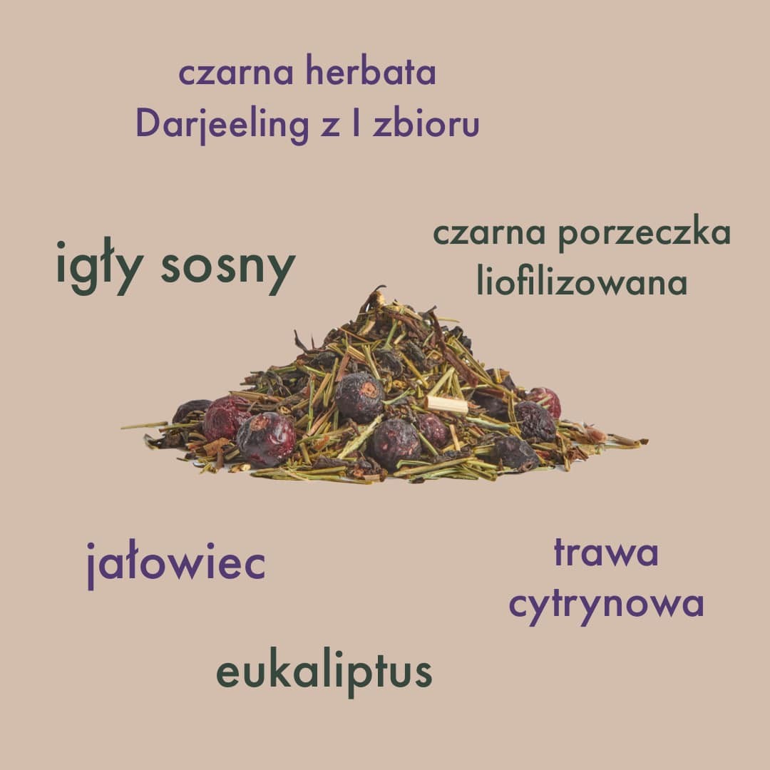 Spring Tea – czarna herbata z igłami sosny | Brown House & Tea