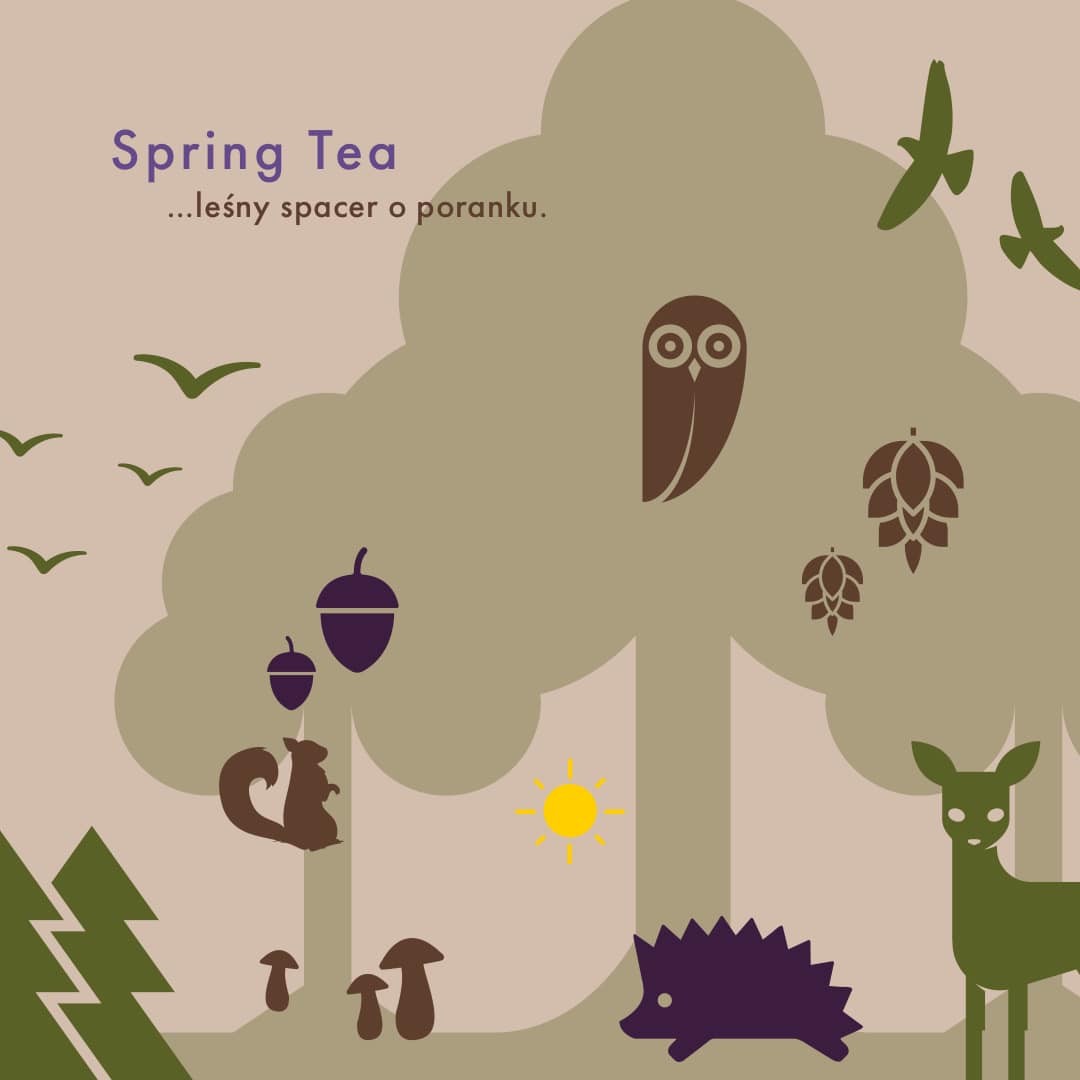 Spring Tea – czarna herbata z igłami sosny | Brown House & Tea