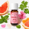 Rześki grejpfrut – blend eteryczny | 10 ml | Bracia Mydlarze