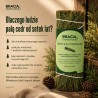 Cedr kalifornijski | naturalne kadzidło | Bracia Mydlarze