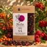 Herba SPOD SPADOWCA — czarna herbata z owocami | 100 g | Tatrzańska Spiżarnia