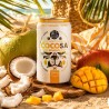 Cocosa — woda kokosowa z sokiem z mango NFC | 330 ml | Diet-Food