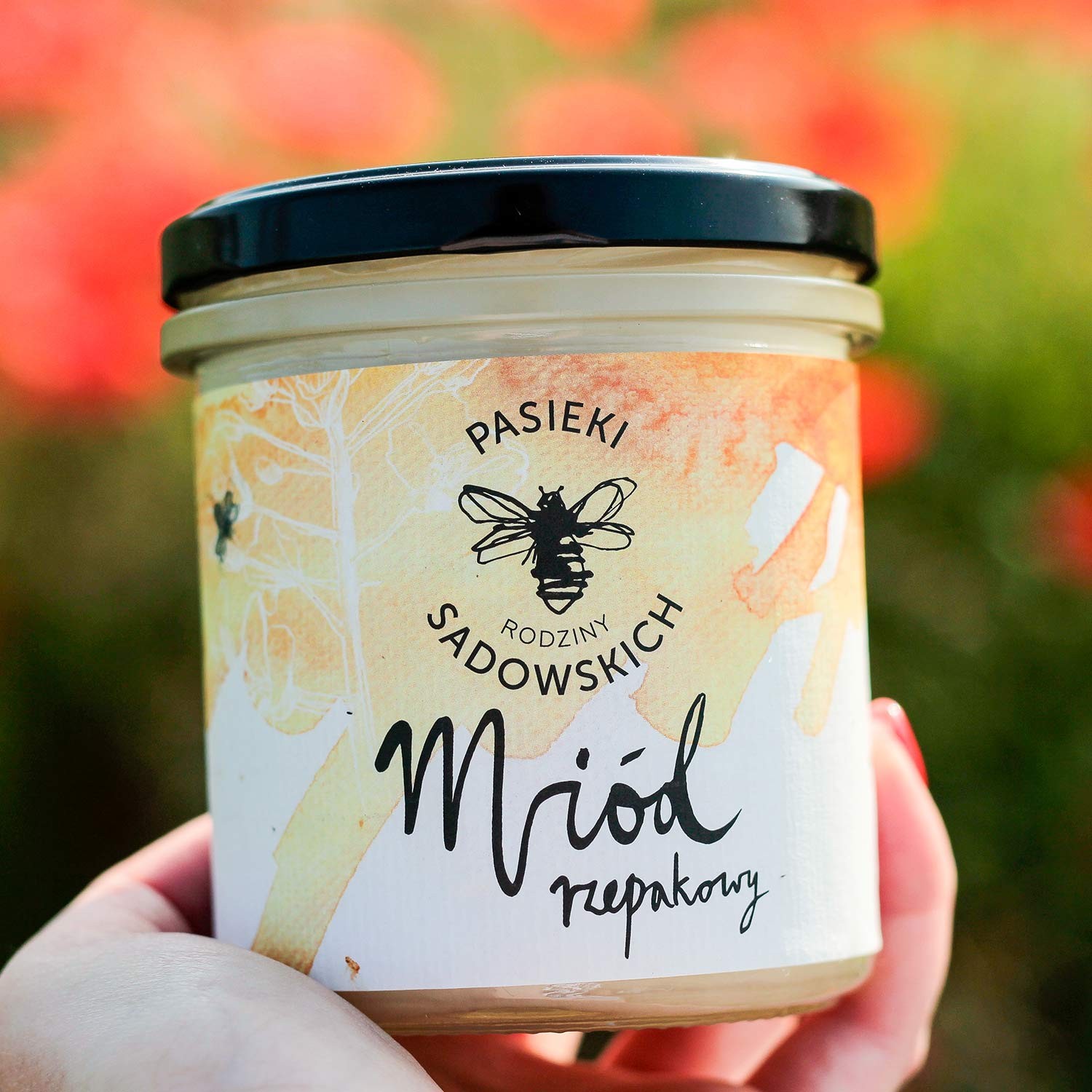 Miód rzepakowy świeży 2025 | naturalny, kremowy miód z Pasiek Sadowskich