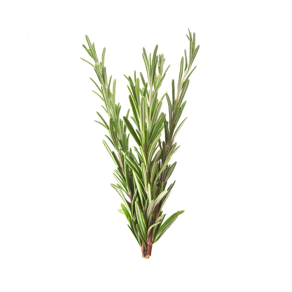 Olejek rozmarynowy | 10ml | Mokosh