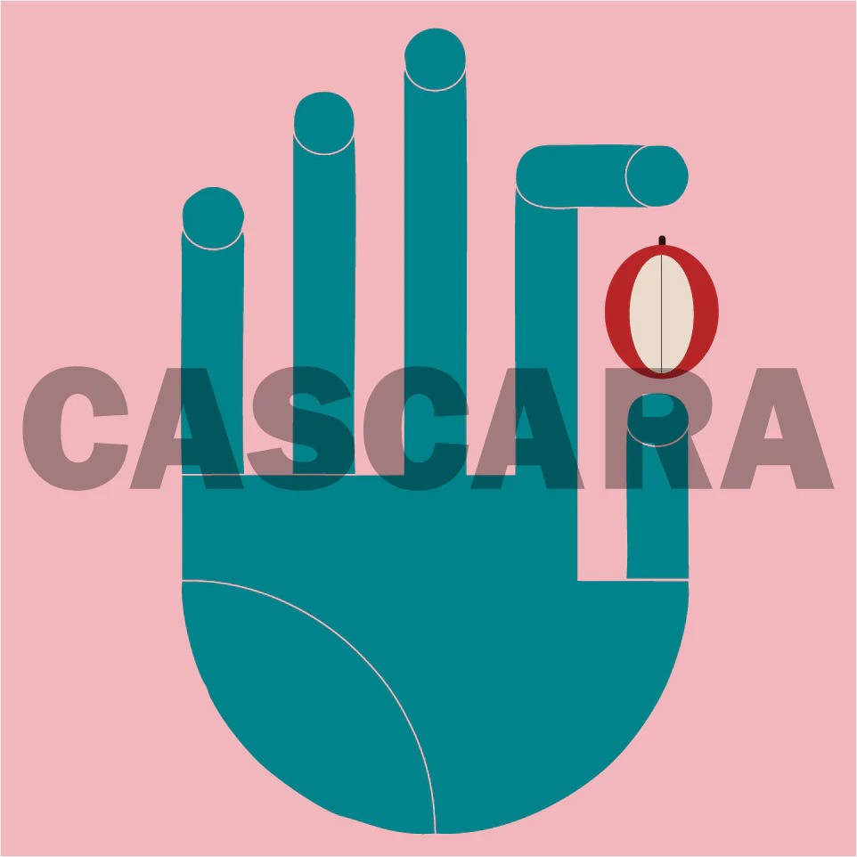 Cascara Panama 200 g – suszone owoce kawowca | Java Coffee