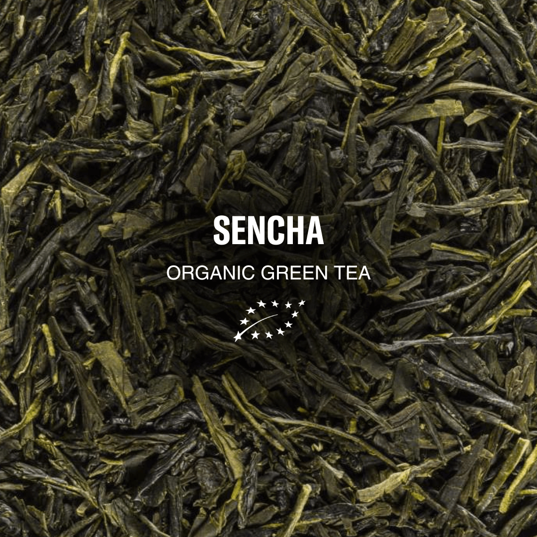 Zielona herbata sencha THE SUN ETERNAL | Leaf Liturgy