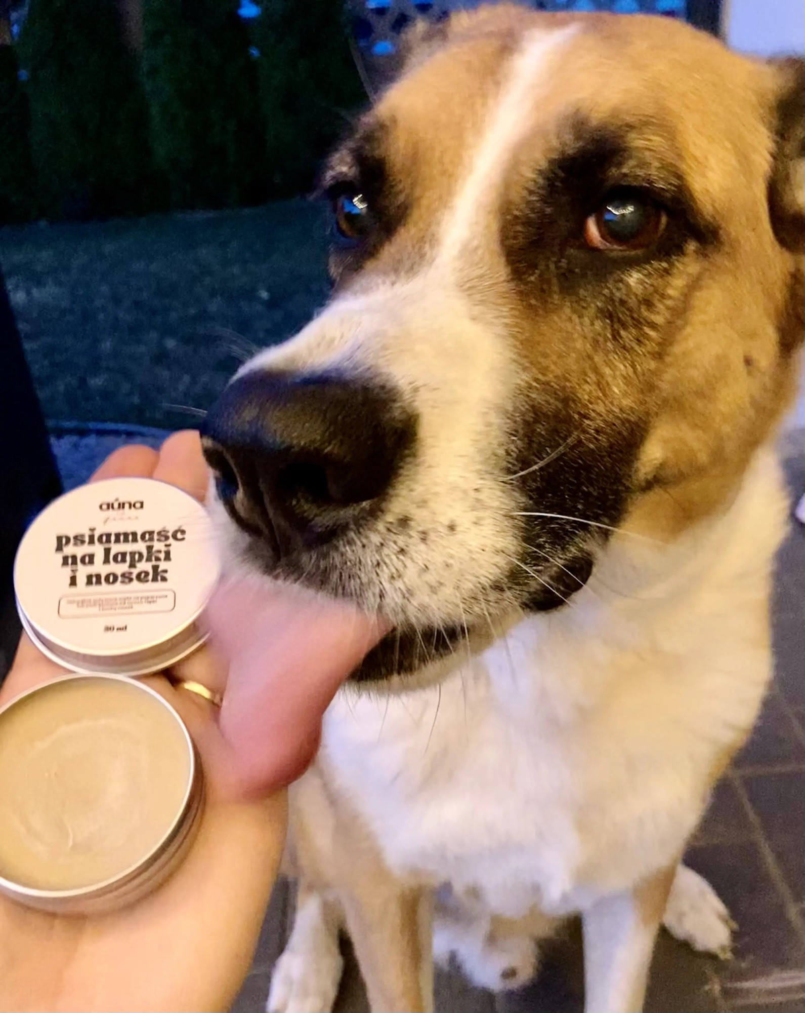 psiamaść - roślinne masełko na łapki i nosek | 60ml | auna