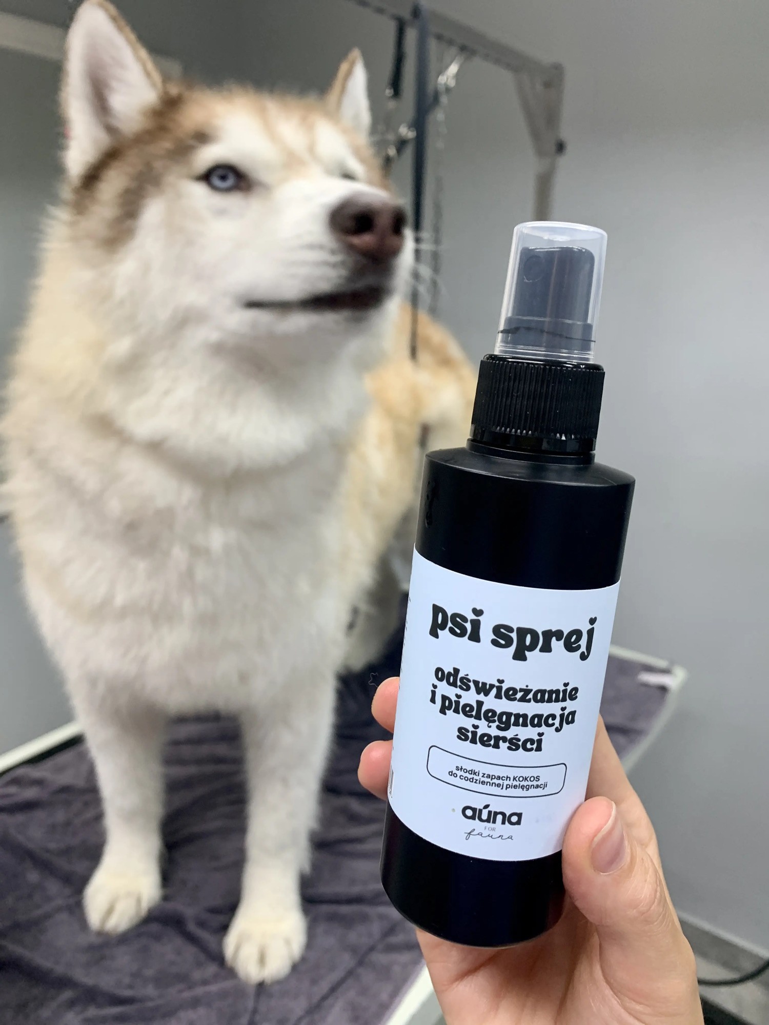 odżywka na sucho do codziennej pielęgnacji KOKOS - 150 ml | auna