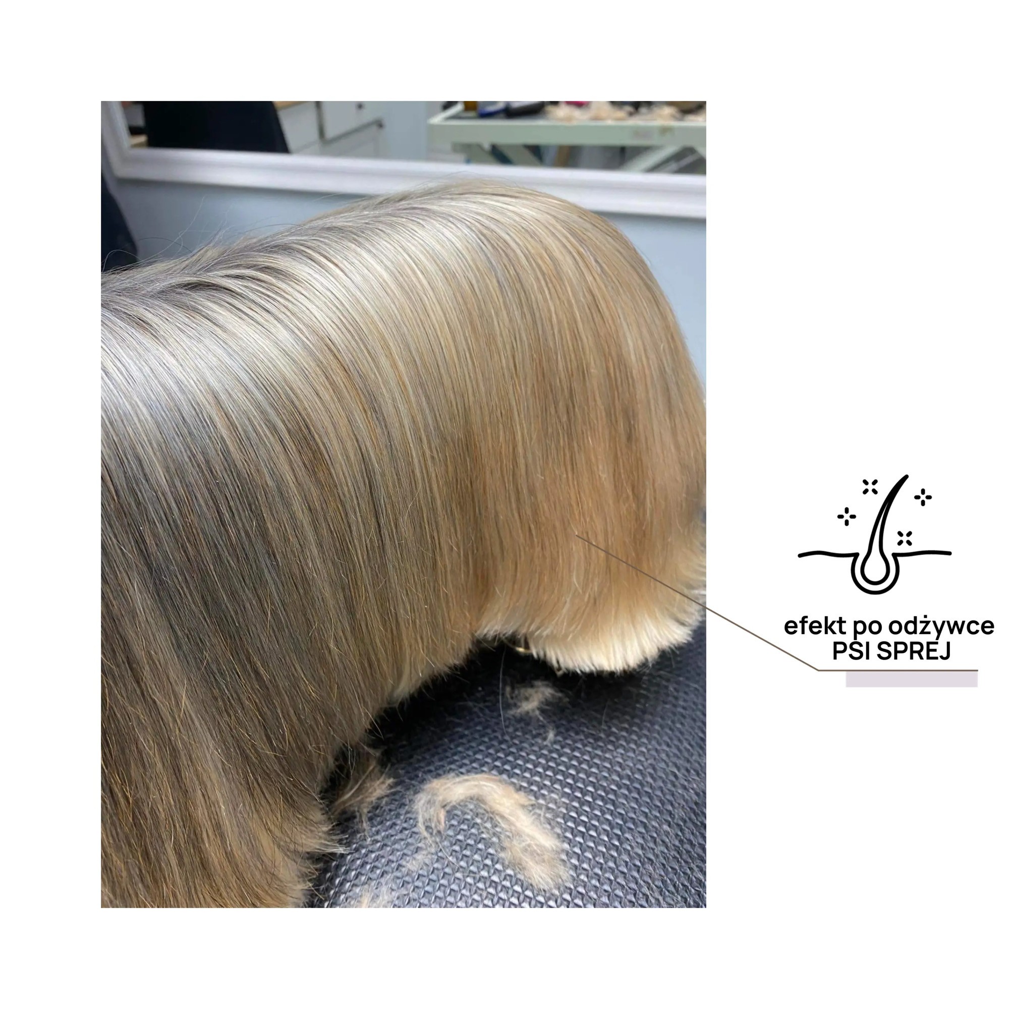 odżywka na sucho do codziennej pielęgnacji KOKOS - 150 ml | auna