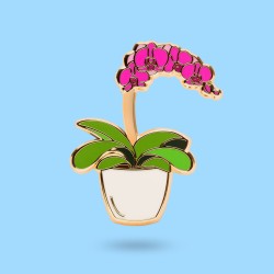 Pin Storczyk | Paw Generation