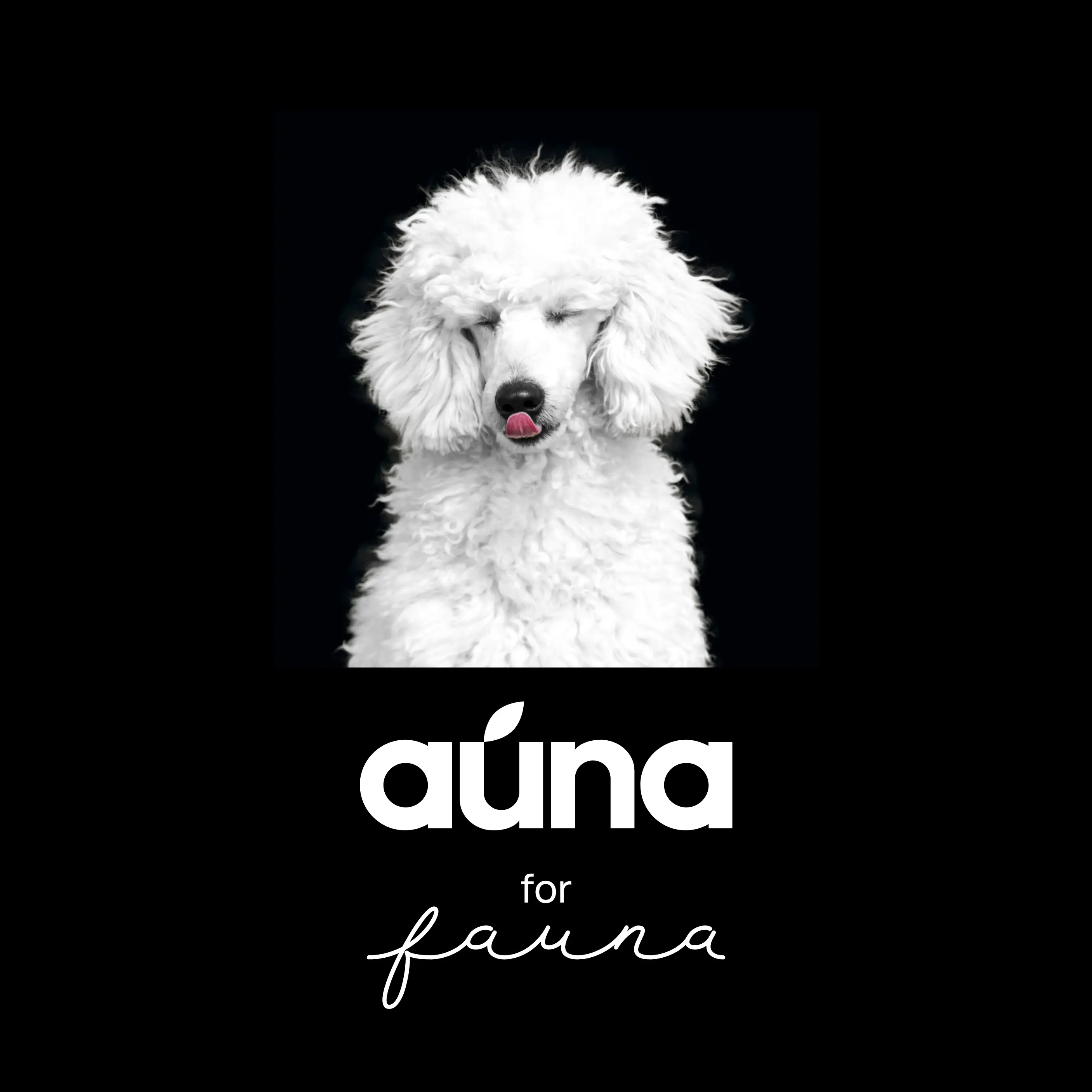 odżywka na sucho do codziennej pielęgnacji BANAN - 150 ml | auna