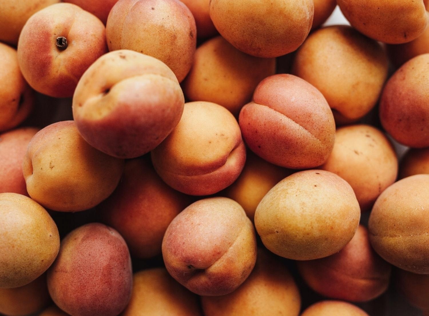 Morela – naturalna pianka do mycia twarzy | 200 ml | Ministerstwo Dobrego Mydła