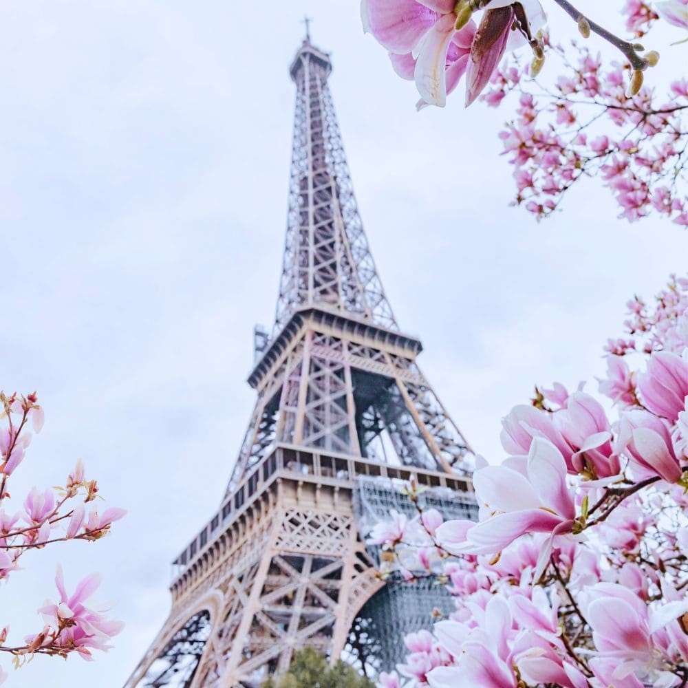 Creamy Croissant – czarna herbata z migdałami i wanilią 50 g | Brown House & Tea