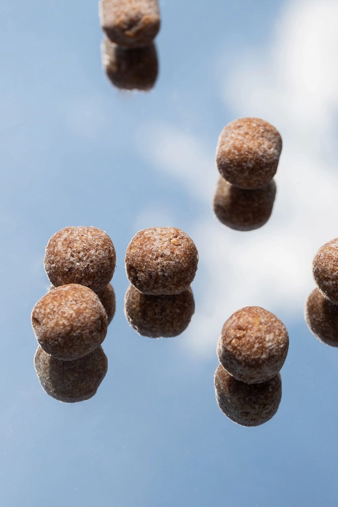 Kulki Superfoods kokos & chia | zdrowa przekąska | 50 g | Foods by Ann