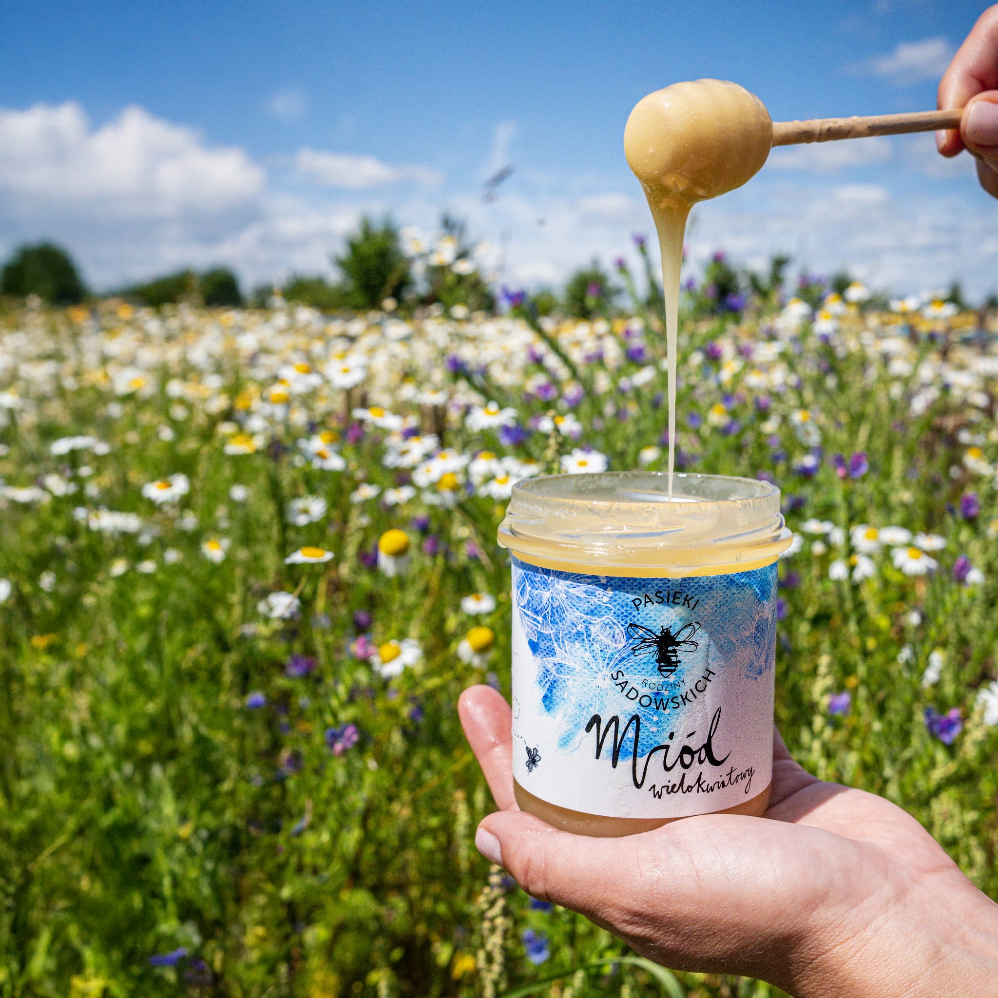 Miód wielokwiatowy świeży 2025 | naturalny miód z polskich pasiek | Pasieki Sadowskich