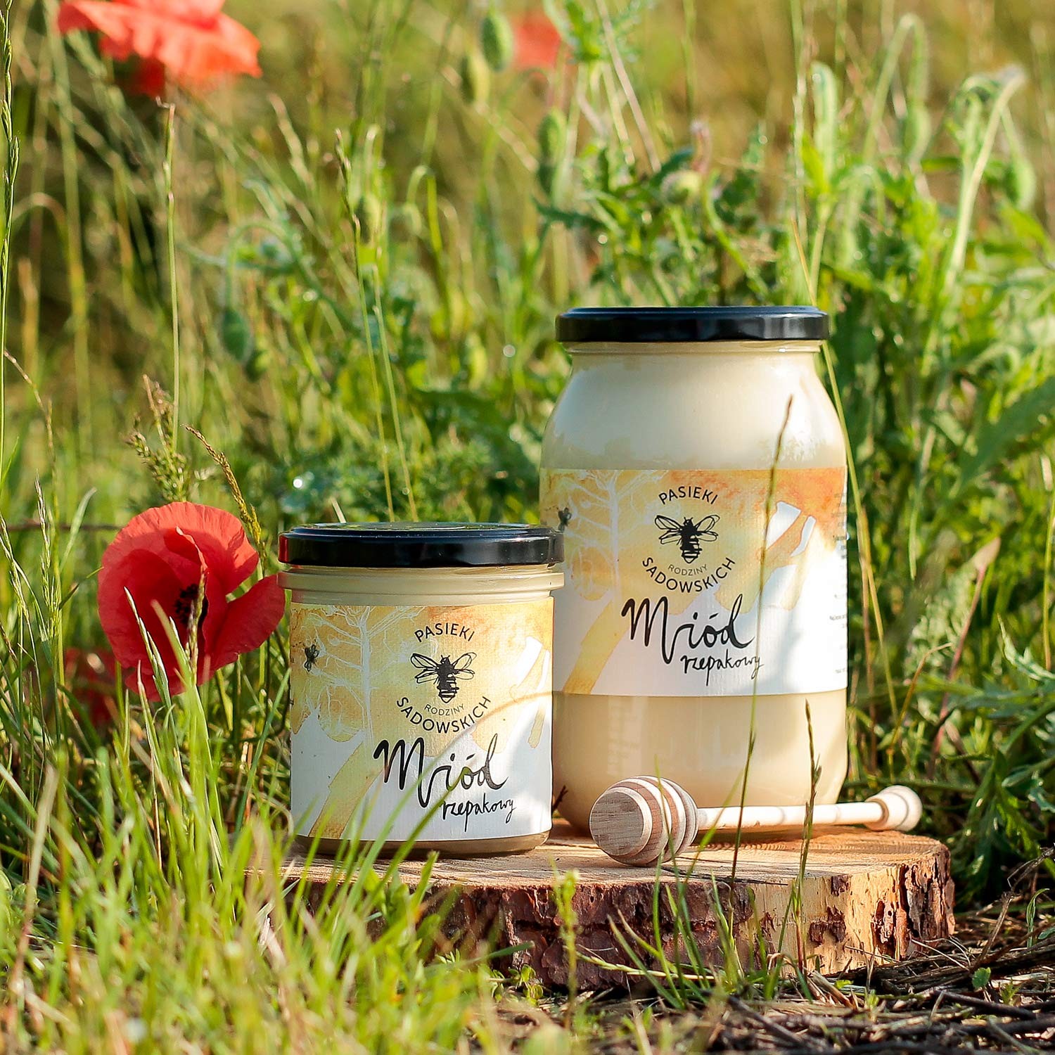 Miód rzepakowy świeży 2025 | 1200 g | naturalny, kremowy miód z Pasiek Sadowskich